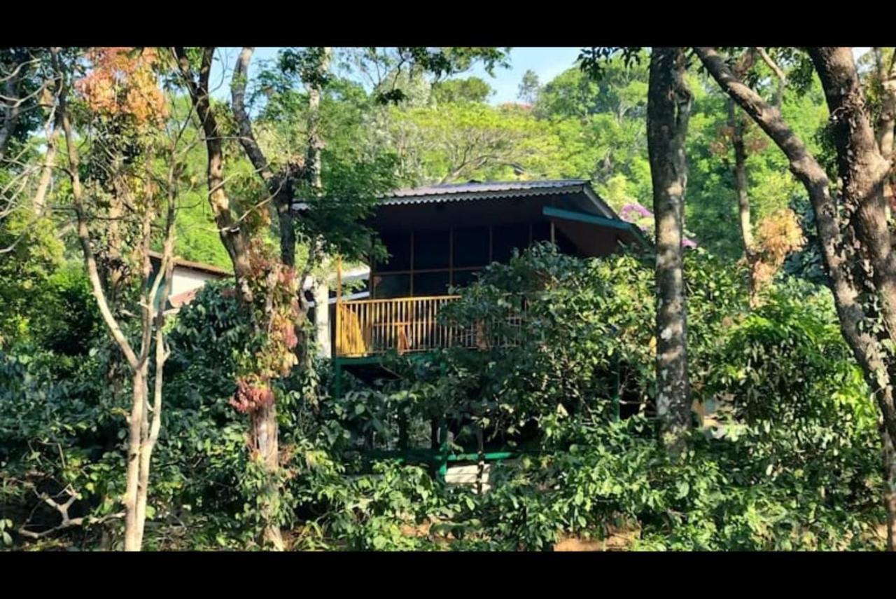 Hill Valley Farm House Nelliyampathy Buitenkant foto