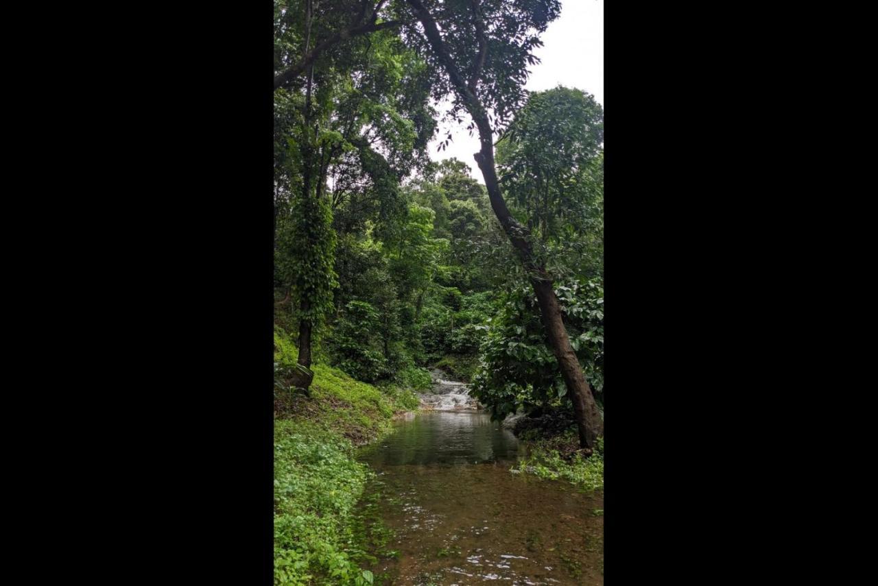 Hill Valley Farm House Nelliyampathy Buitenkant foto