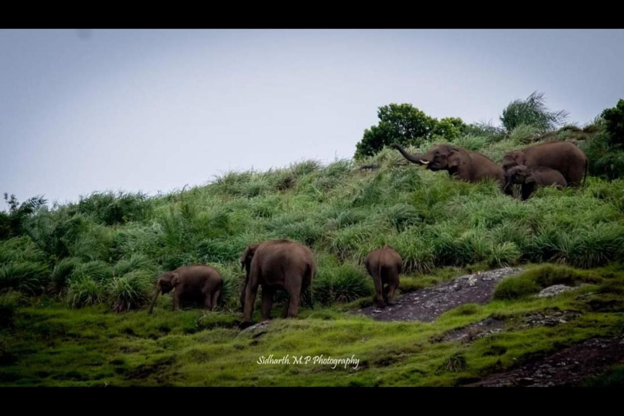 Hill Valley Farm House Nelliyampathy Buitenkant foto