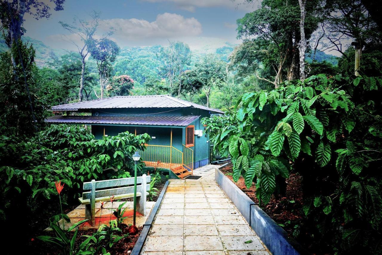 Hill Valley Farm House Nelliyampathy Buitenkant foto