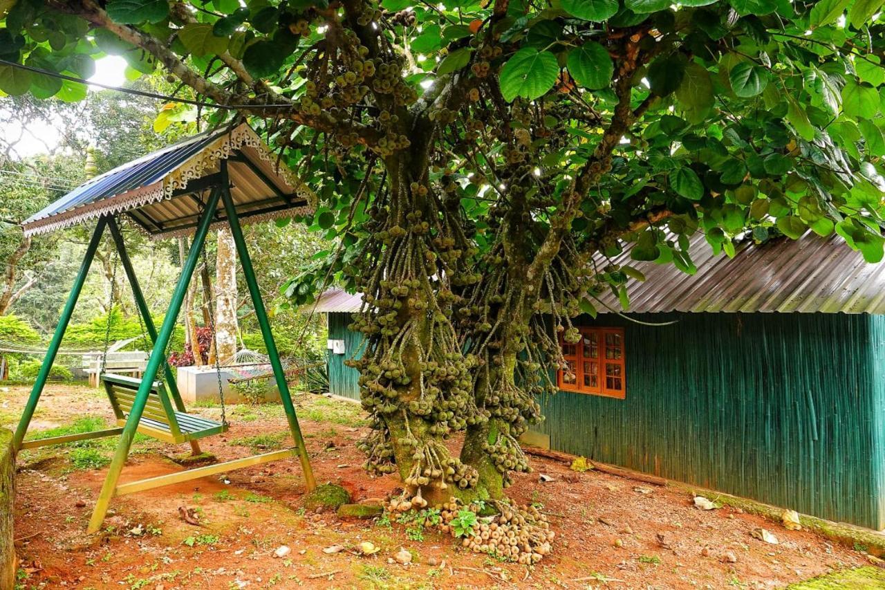 Hill Valley Farm House Nelliyampathy Buitenkant foto