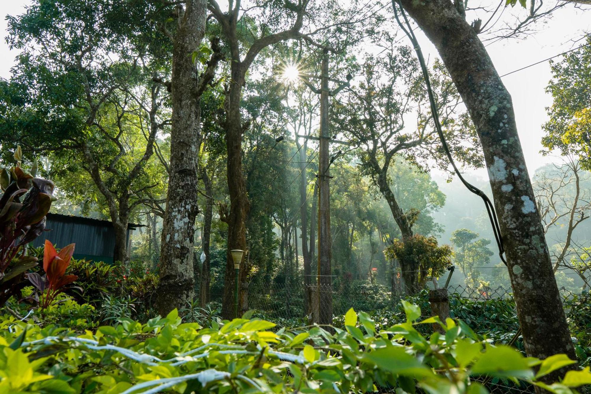 Hill Valley Farm House Nelliyampathy Buitenkant foto