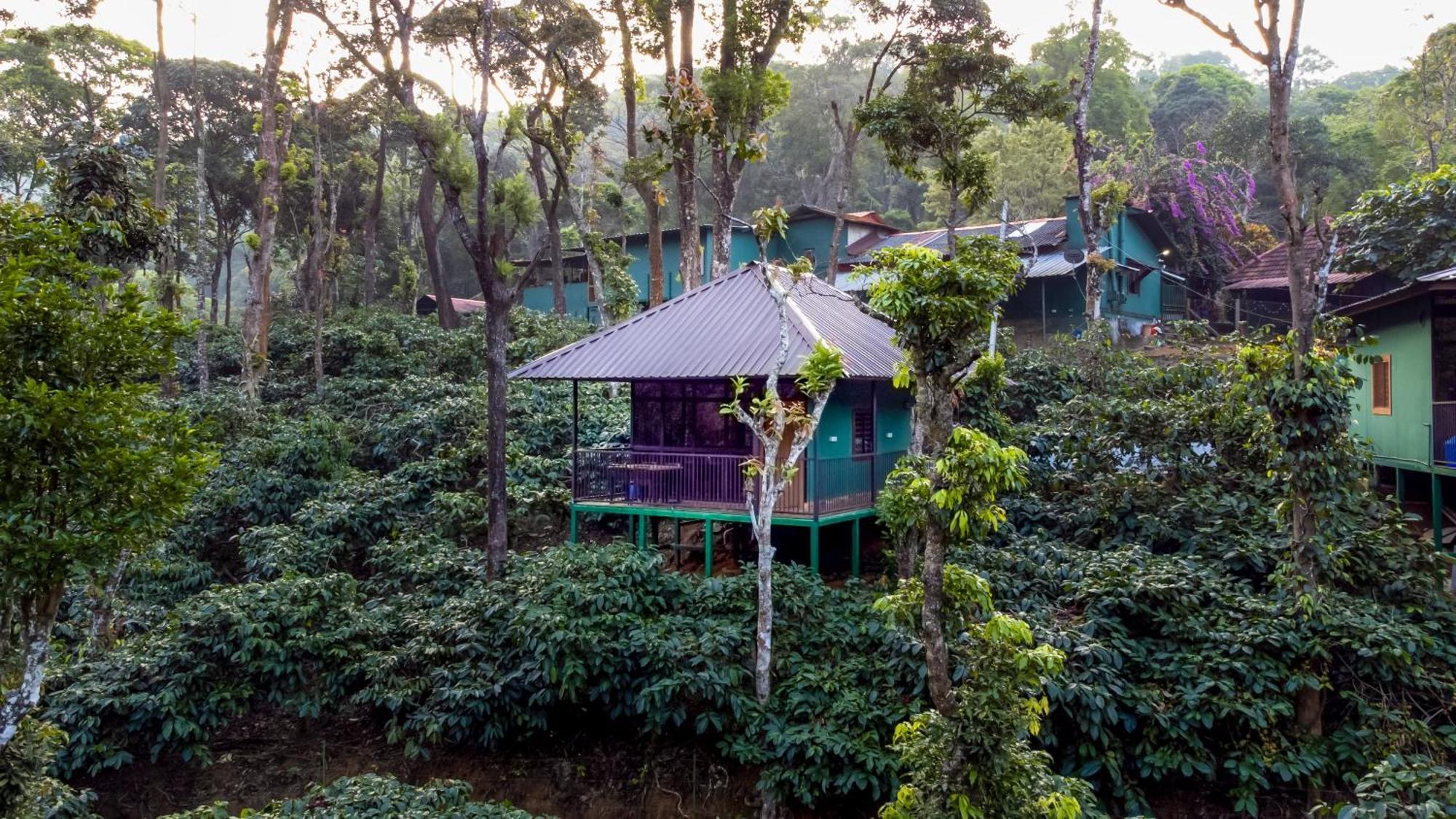 Hill Valley Farm House Nelliyampathy Buitenkant foto
